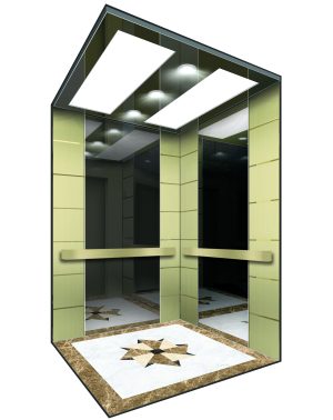 UH-07 champaign gold BACK